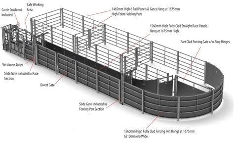 cattle loading chute dimensions|Corral and Working Facilities for Beef Cattle